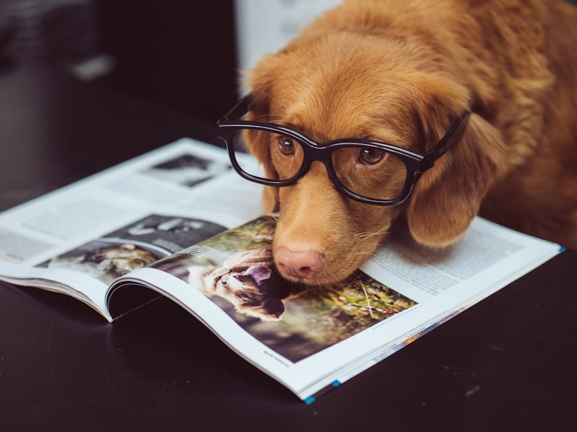 Literacy Resources for Caregivers Ext 2